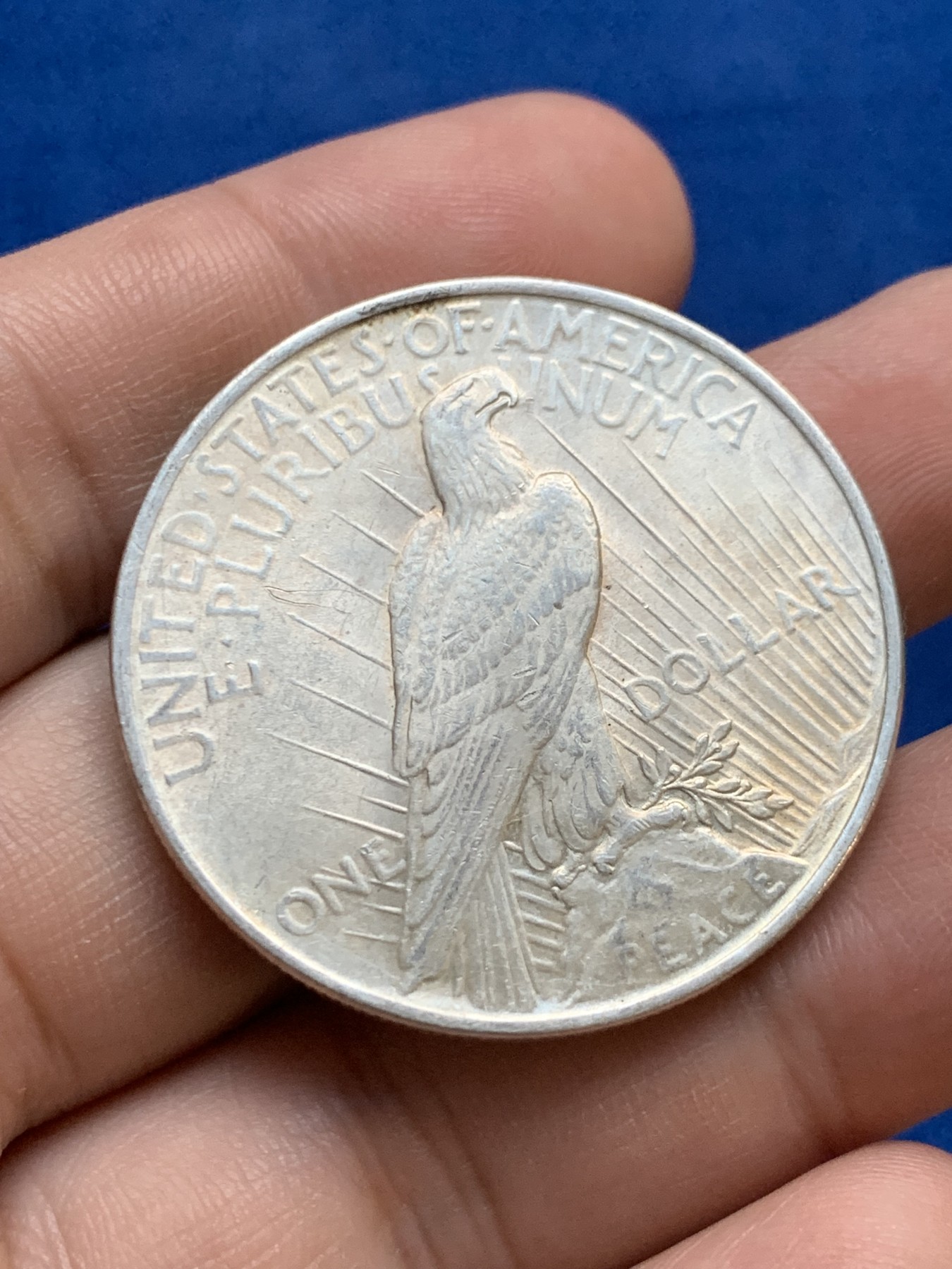 《竞宝斋》第207场-周日，周一 2场 (全场包邮) 1922年美国和平银币 带光好品，UNC品相