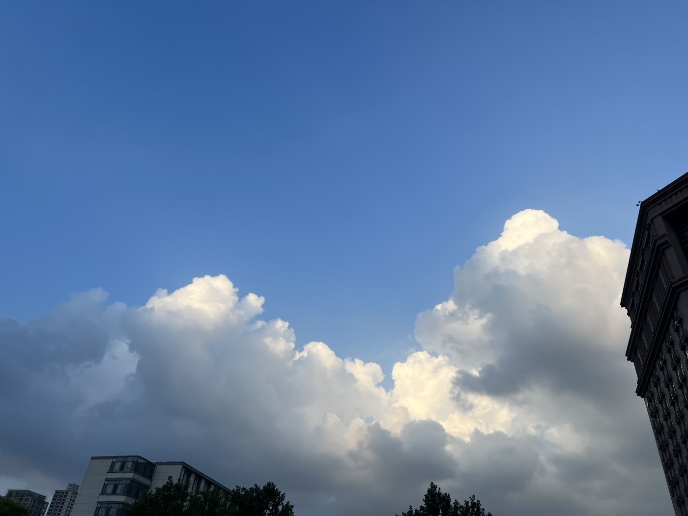 第430期 硬币专场 （无押金，捡漏，全场20包邮，偏远地区除外，接收代拍业务） 此品已删除