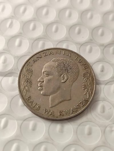 FCO-1A-散币组 - 坦桑尼亚先令