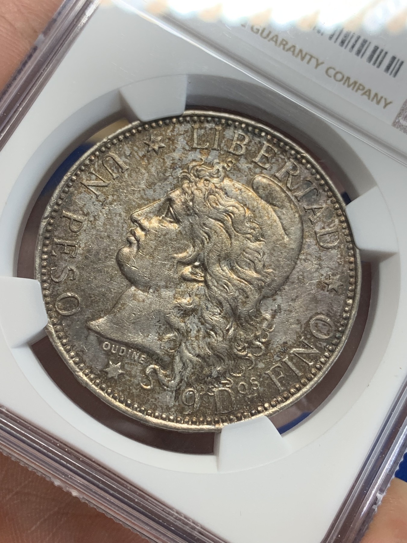 《竞宝斋》第207场-周日，周一 2场 (全场包邮) NGC AUD  1882  阿根廷1比索大银币 热门南美大银 带彩包浆 可以再养养送评