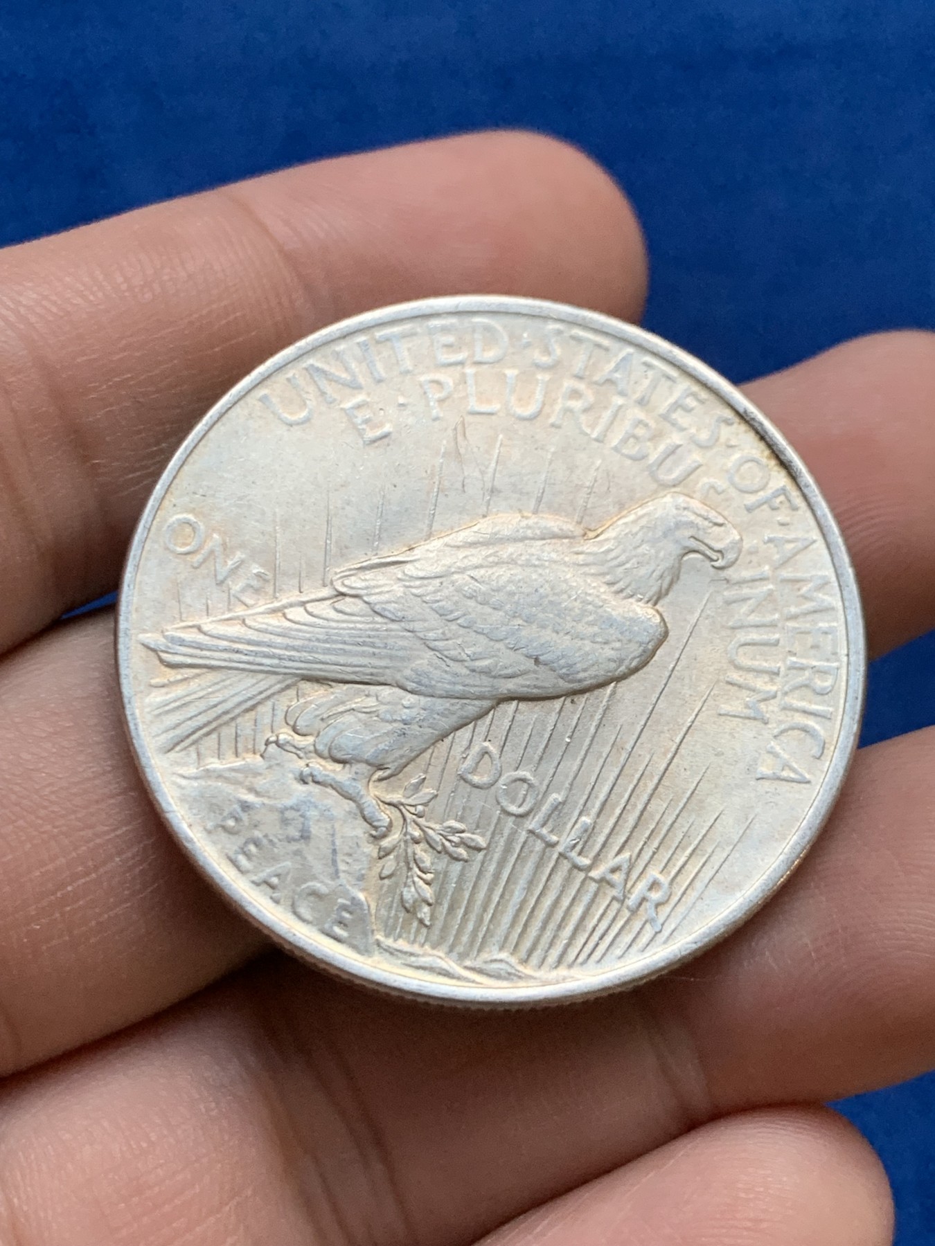 《竞宝斋》第207场-周日，周一 2场 (全场包邮) 1922年美国和平银币 带光好品，UNC品相