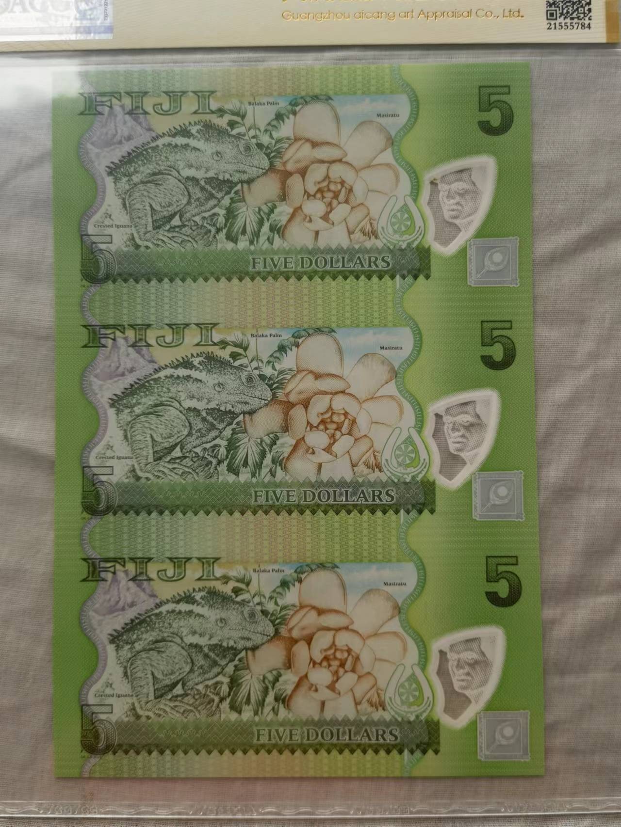 爱藏评级 斐济鹦鹉三连体钞