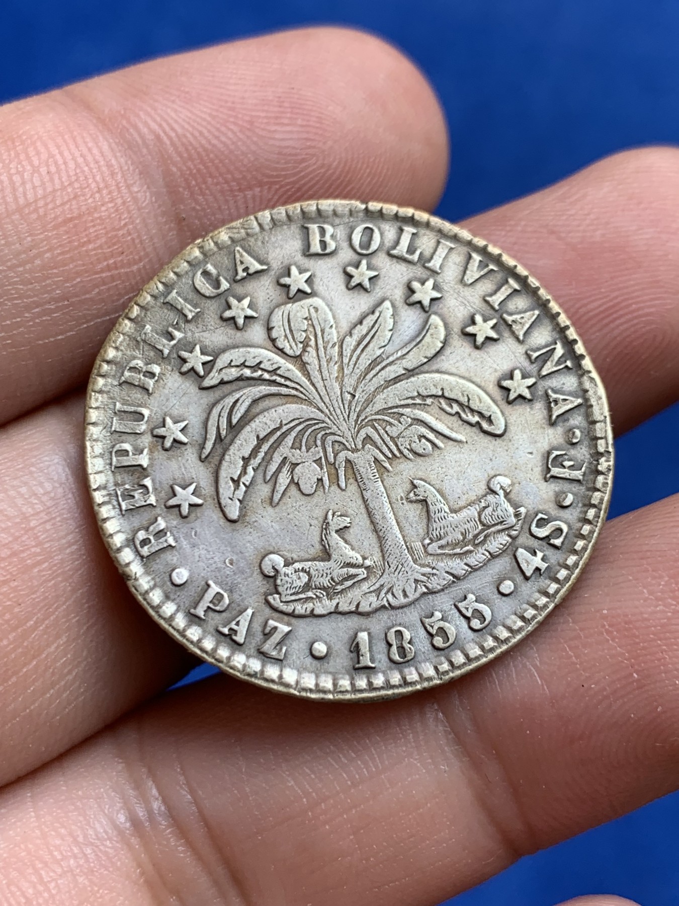 《竞宝斋》第207场-周日，周一 2场 (全场包邮) 1855年玻利维亚4索羊驼银币Au品相少见版本