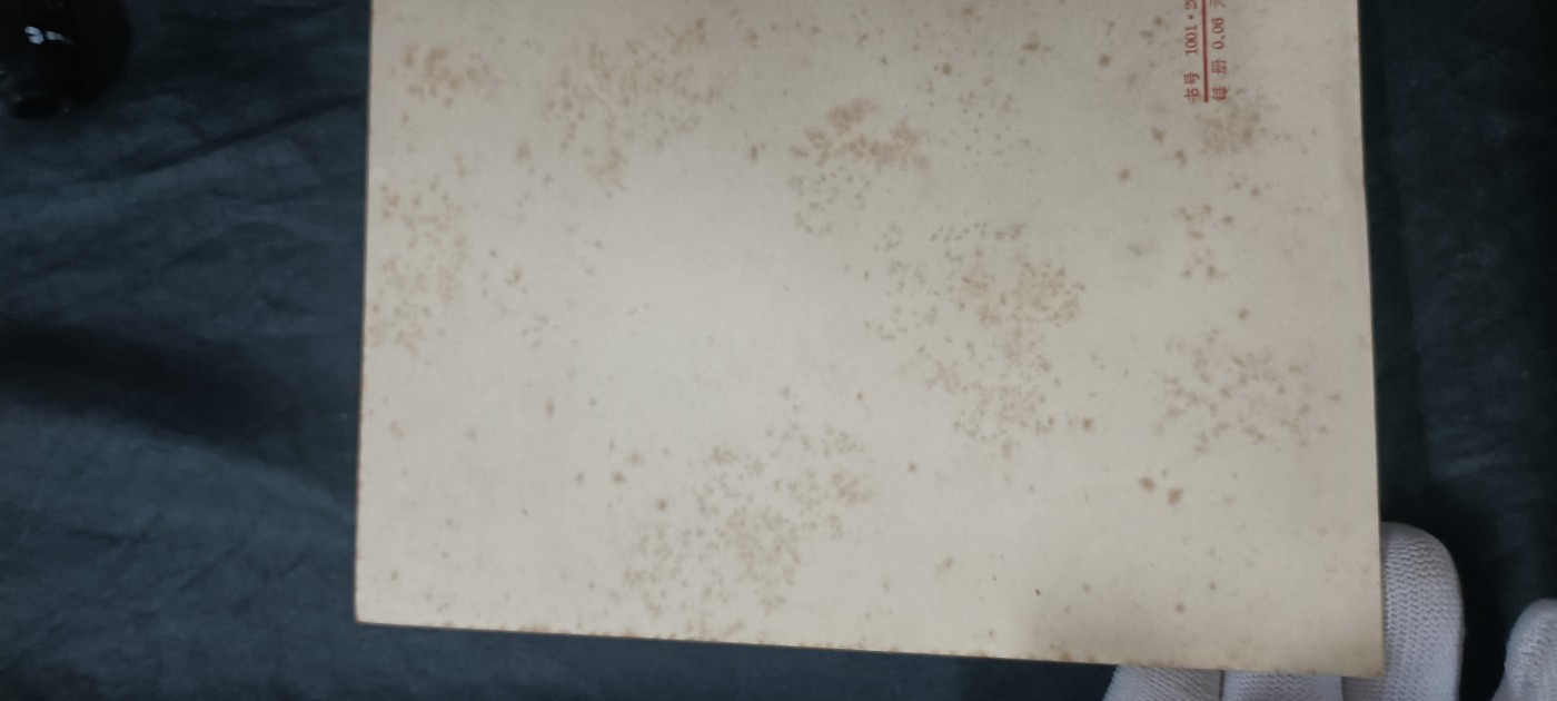 天字一号拍卖！ 列