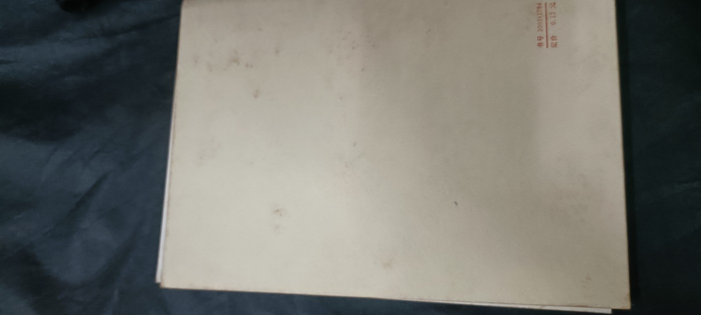 天字一号拍卖！ 决议