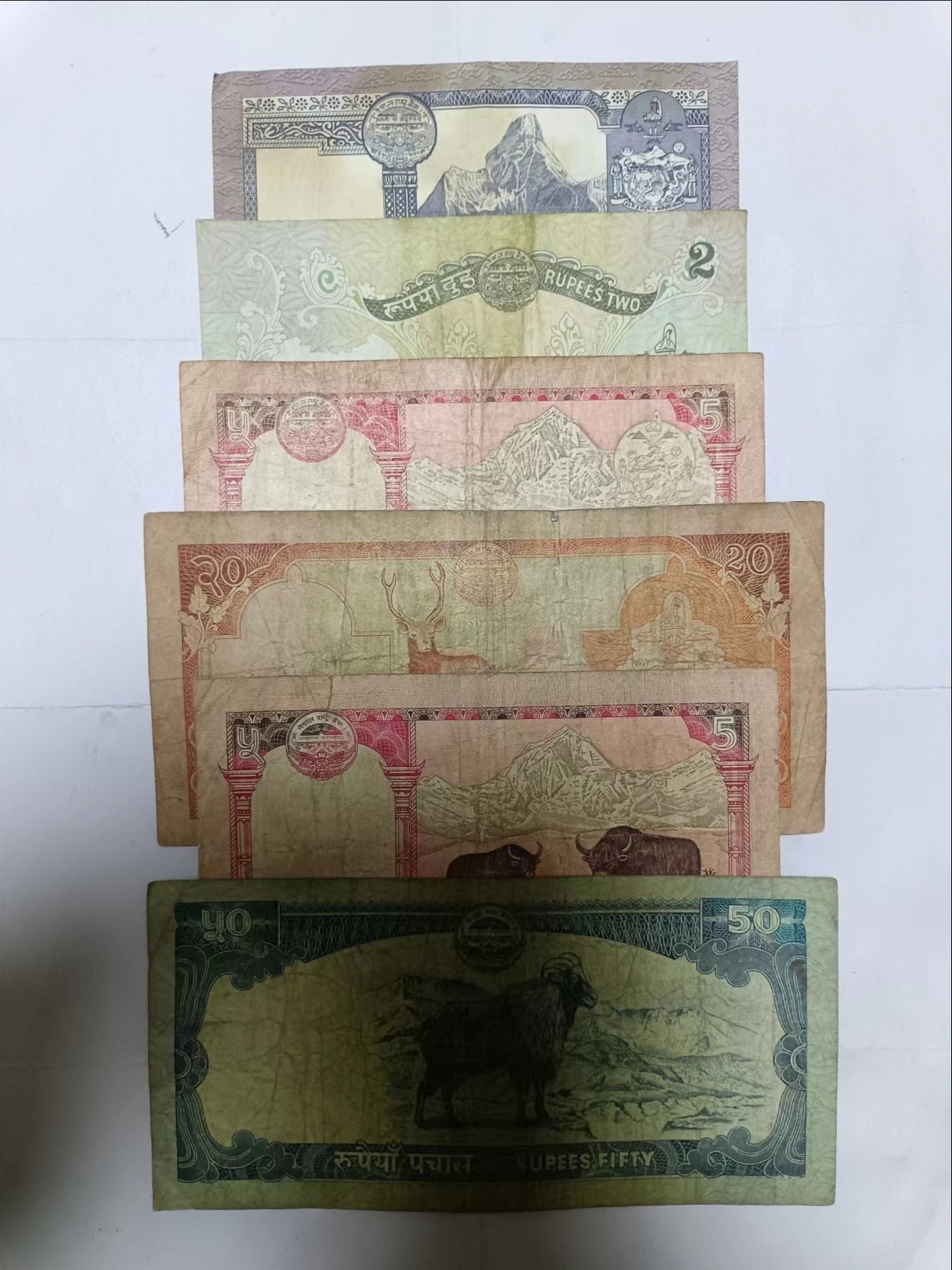 【20231018】非全新纸币第七十八场 尼泊尔6张纸币，有裂缝