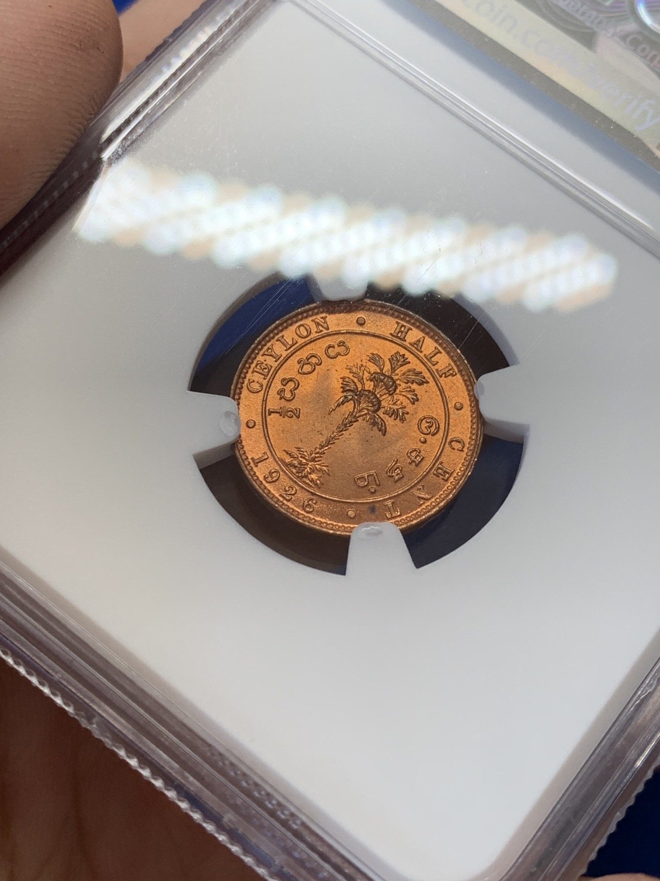 《竞宝斋》第207场-周日，周一 2场 (全场包邮) NGC-MS65RD 英属锡兰 1926年 1/2分铜币 乔治五世 原红铜光 极品品相