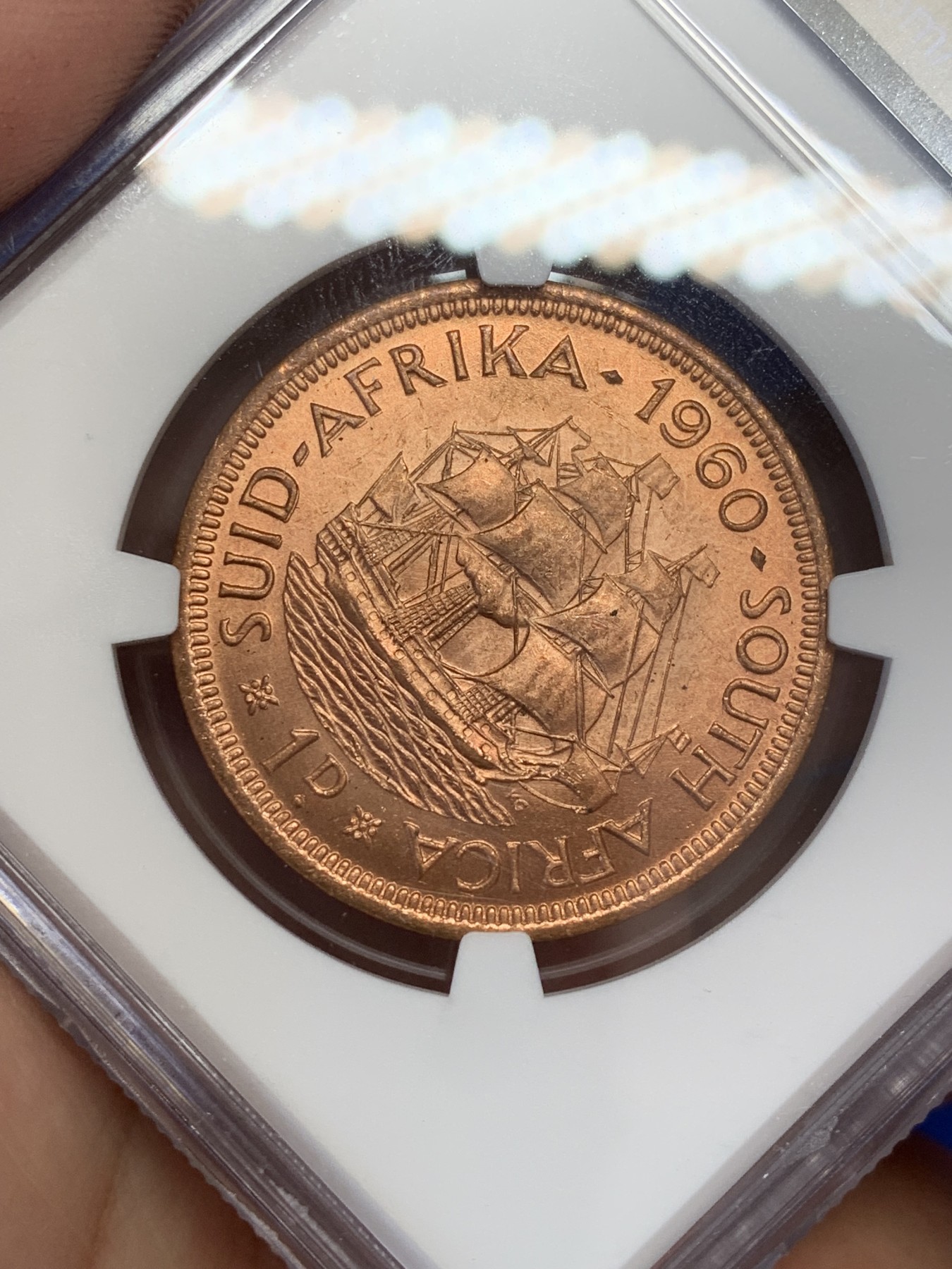 《竞宝斋》第207场-周日，周一 2场 (全场包邮) NGC-MS64 伊丽莎白二世1960年英属南非一便士铜币一枚，光度好收藏一步到位