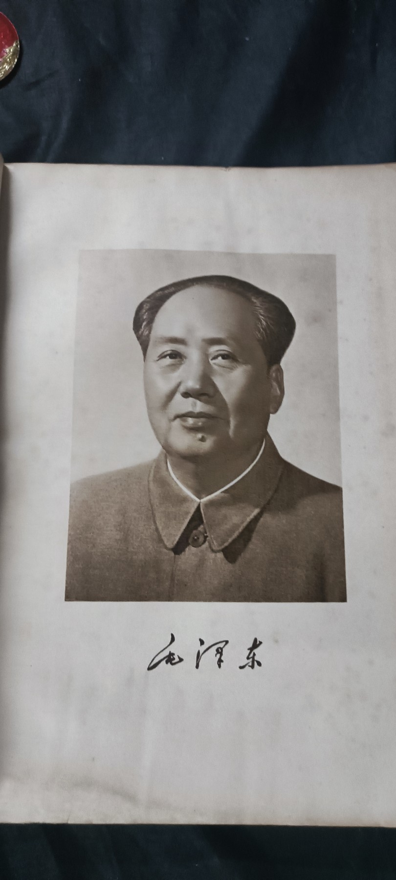 天字一号拍卖！ 小16开版🐈5