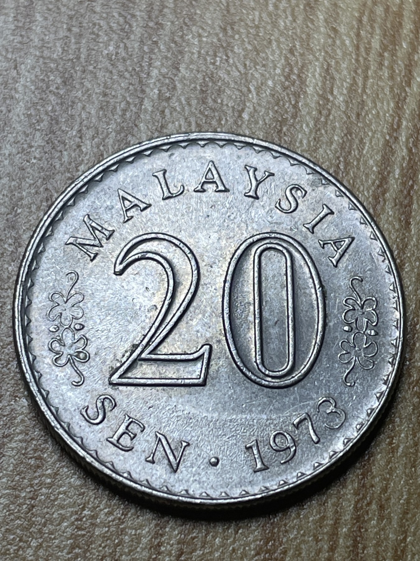 夏小雨散币专场第一期（无佣金，不预留） 1973年马来西亚20分