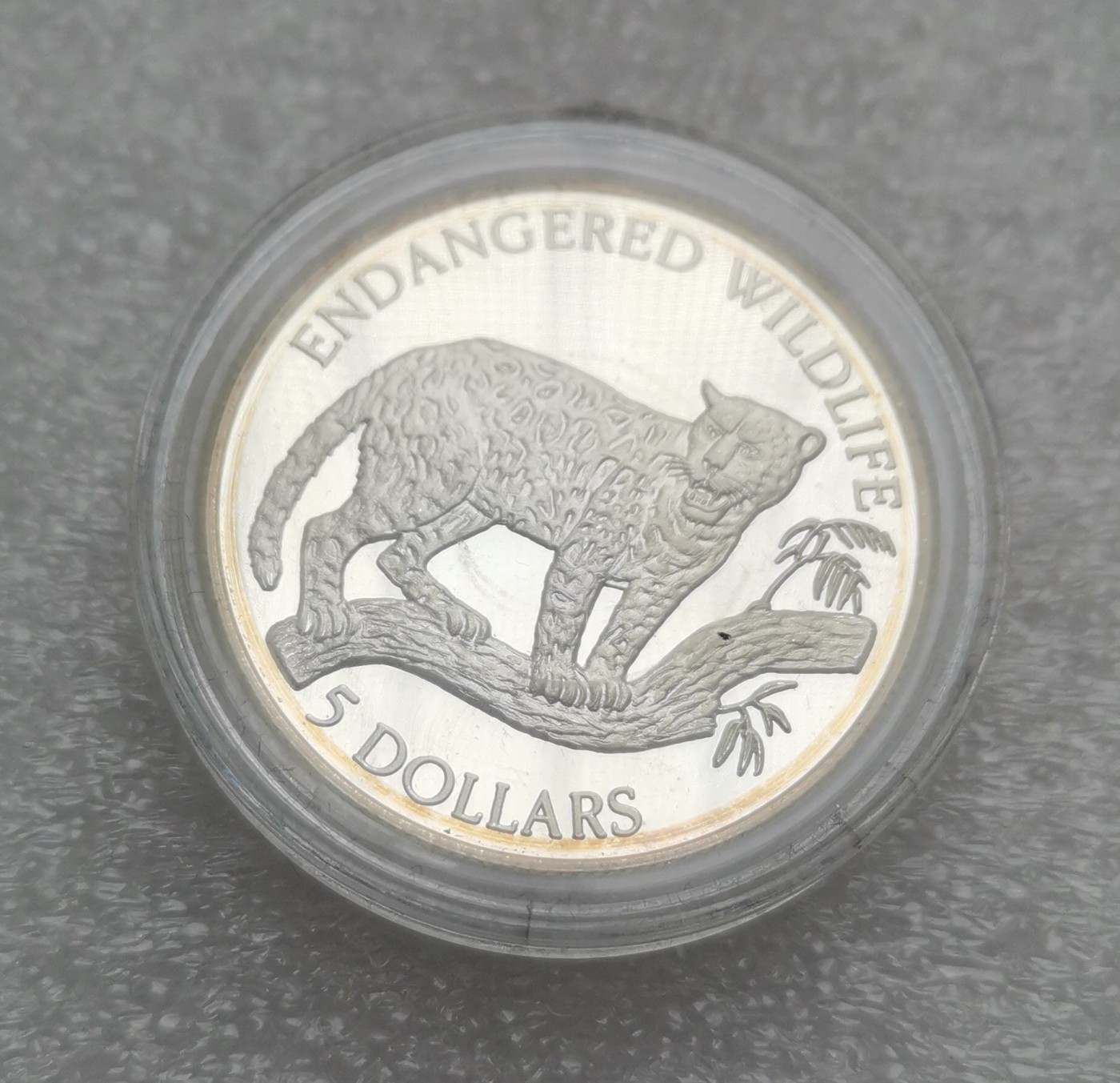 瓶子🏺第114期拍卖会  纽埃1992年5元精制银币 美洲豹