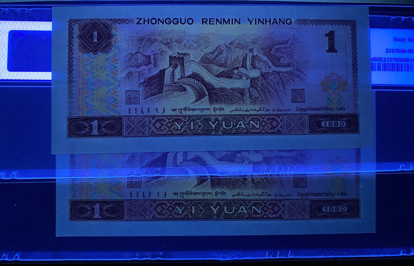 大黄蜂拍卖第88期 801金龙王JT10905003，013，66分2张