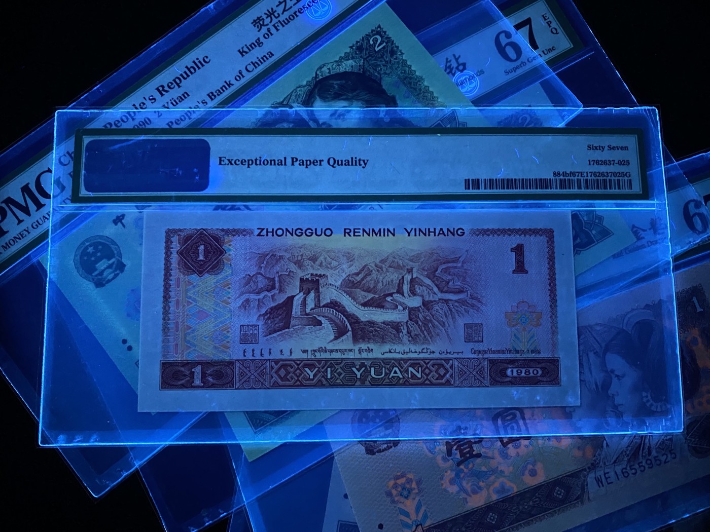 大黄蜂拍卖第88期 绿幽灵，绿钻，金龙王，红金龙，苍松翠鹤，全程无47尾525