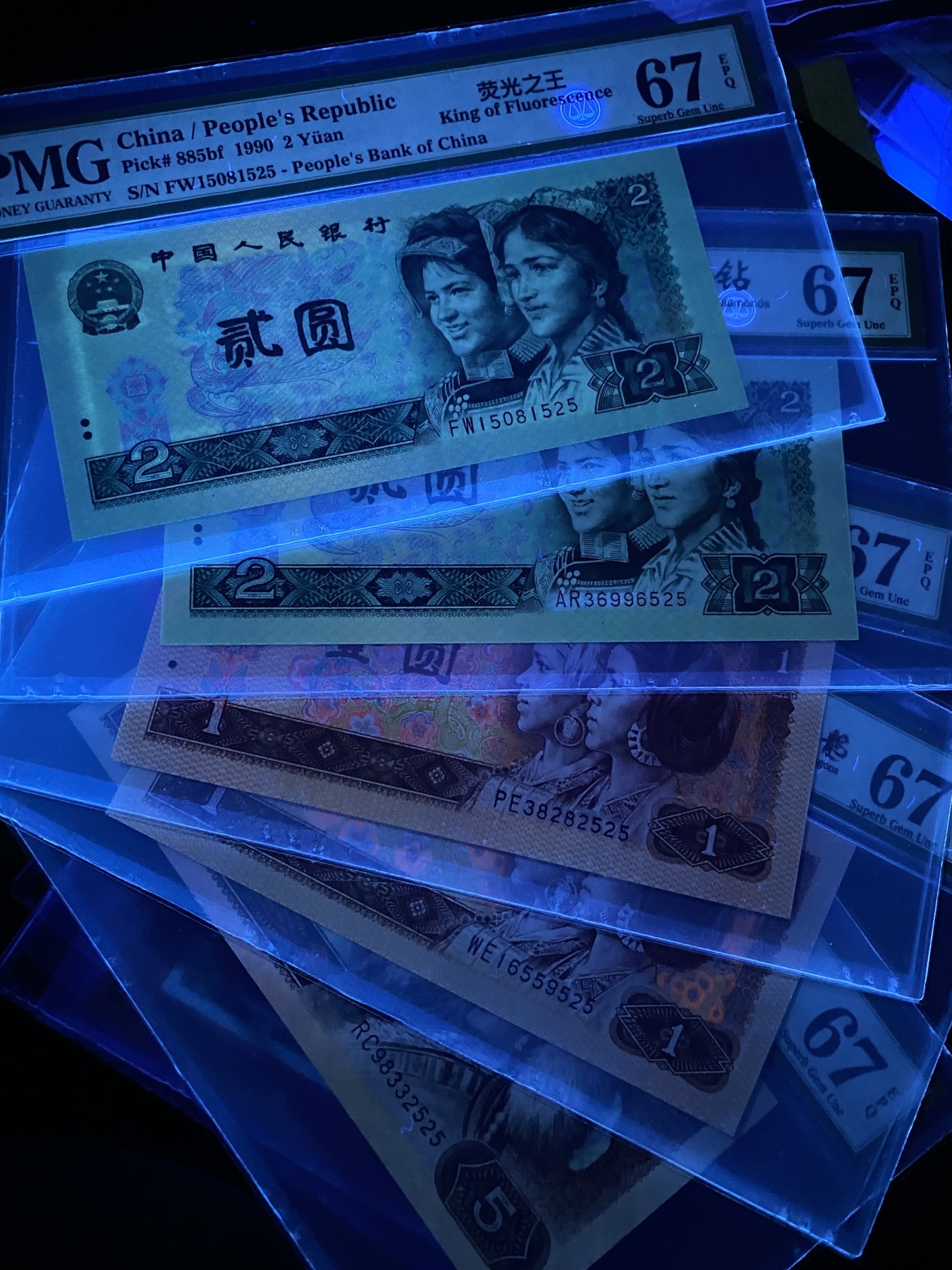 大黄蜂拍卖第88期 绿幽灵，绿钻，金龙王，红金龙，苍松翠鹤，全程无47尾525