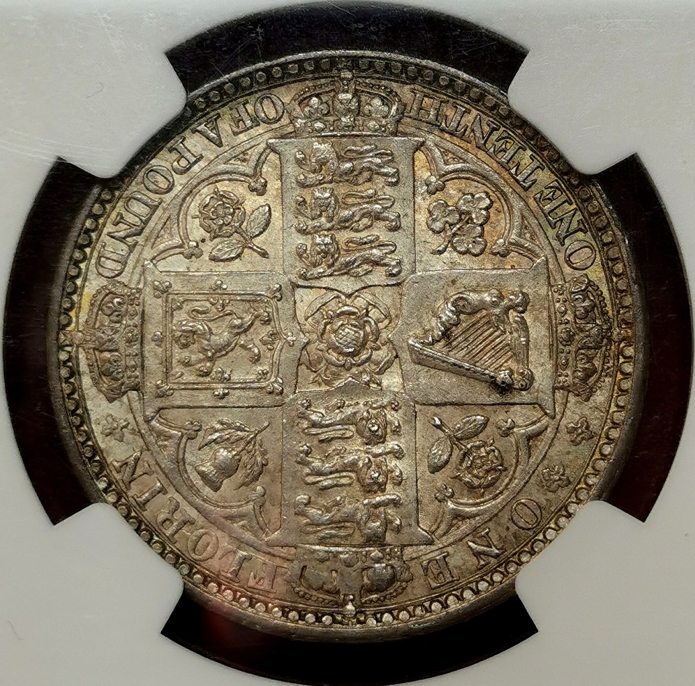 凡希社世界钱币微拍第二百五十一期 荐！1849英国小维无神佛罗林NGC-MS63淡色金彩实物非常养眼！