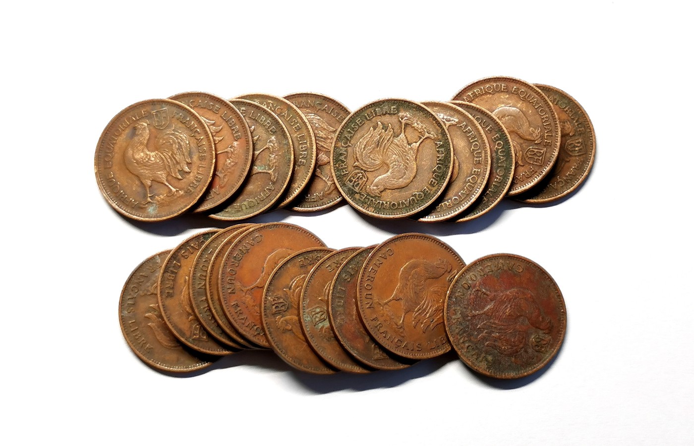 凡希社世界钱币微拍第二百五十一期 法属赤道非洲50分铜币20枚一组