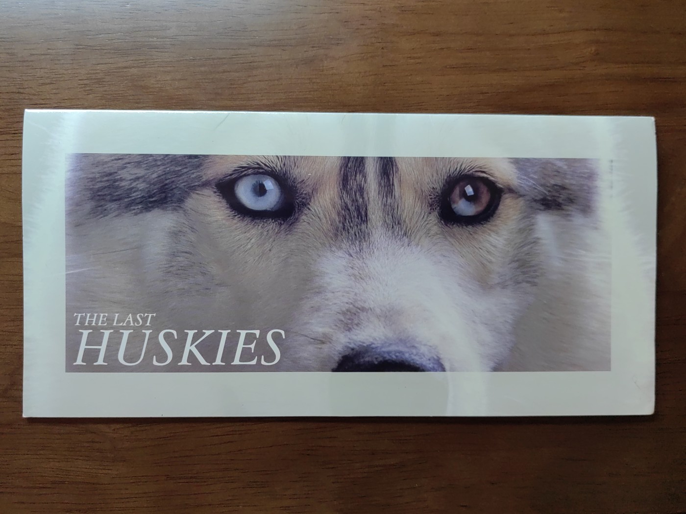 外国邮和小本票精品专场（秒杀和拍卖）第①⑥场 澳属南极1994年 极地雪橇犬一套 （全新邮票无邮戳，小本票非邮折）