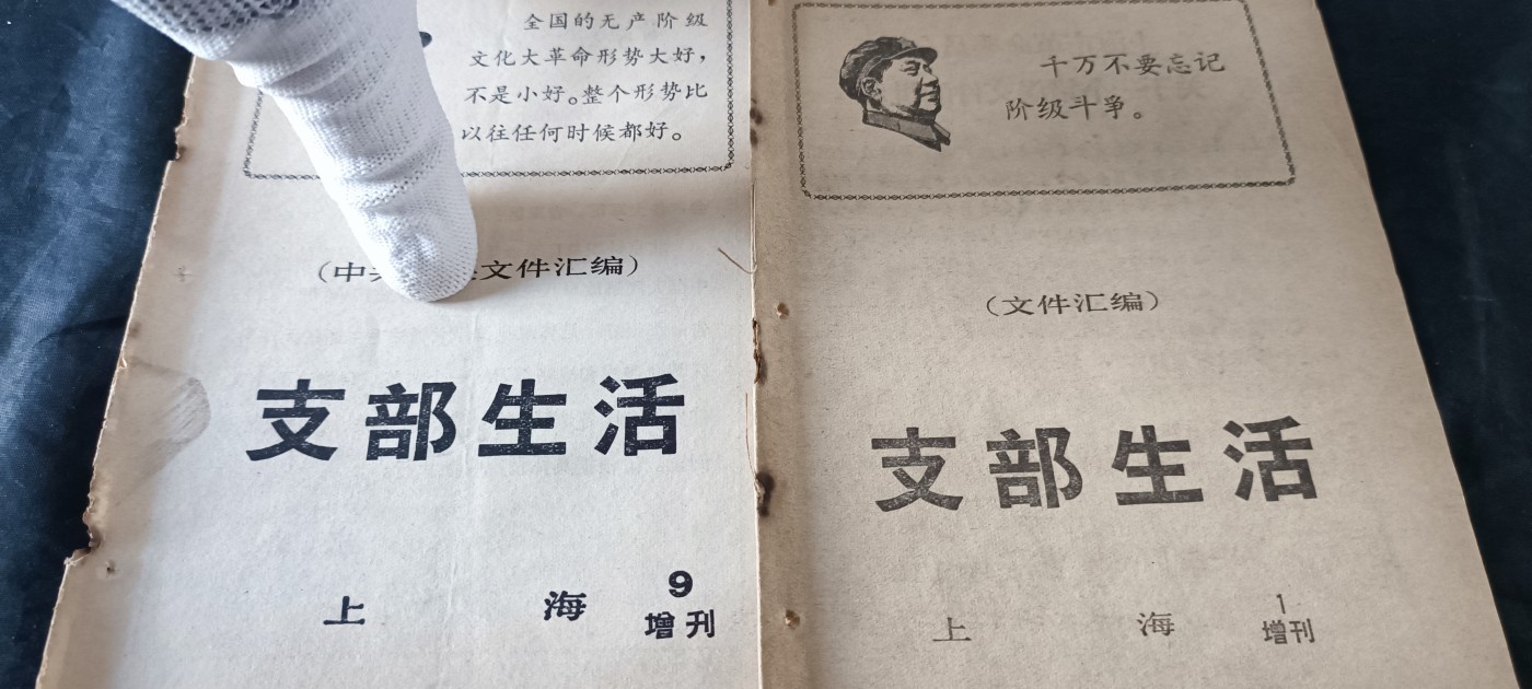 天字一号拍卖！ 两本毛头