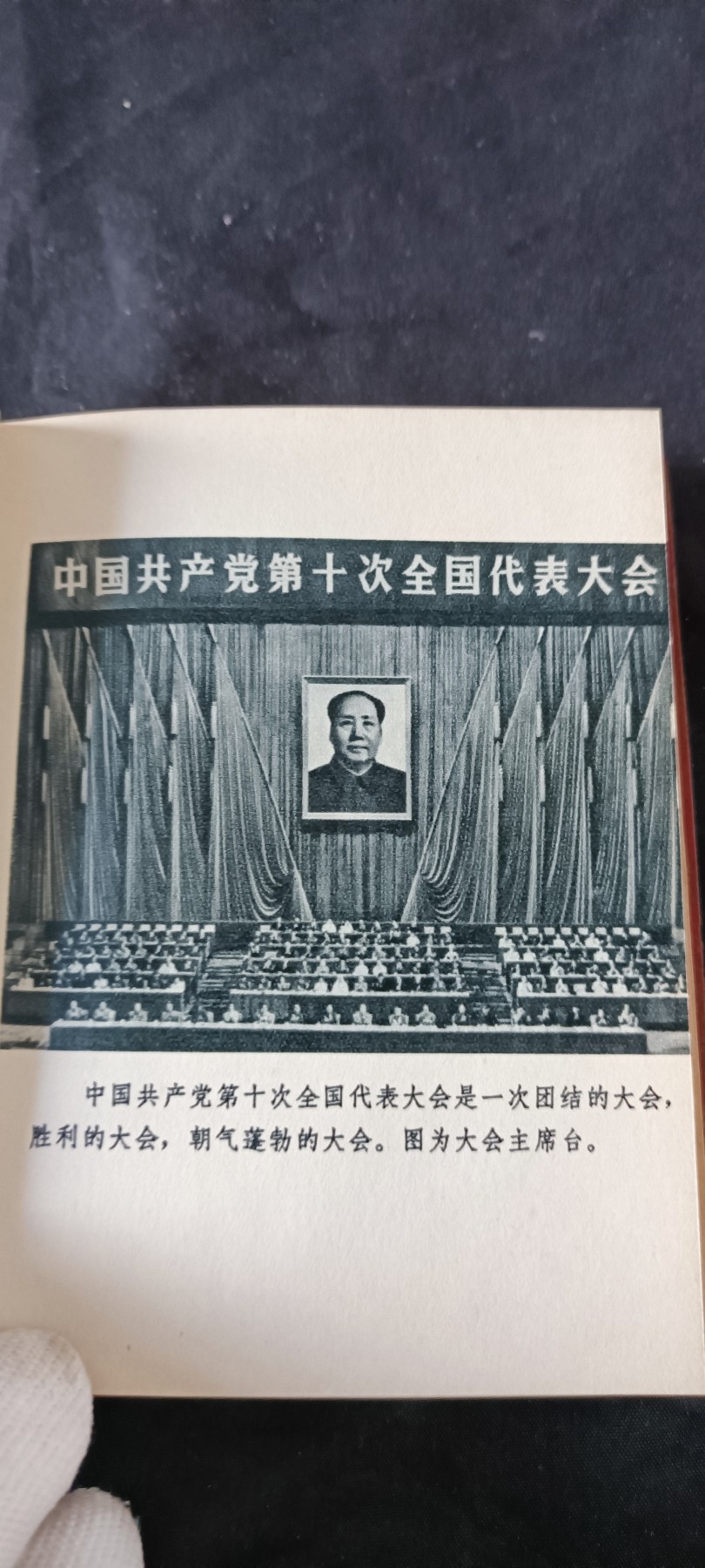 天字一号拍卖！ 小王高光时刻，好品十大