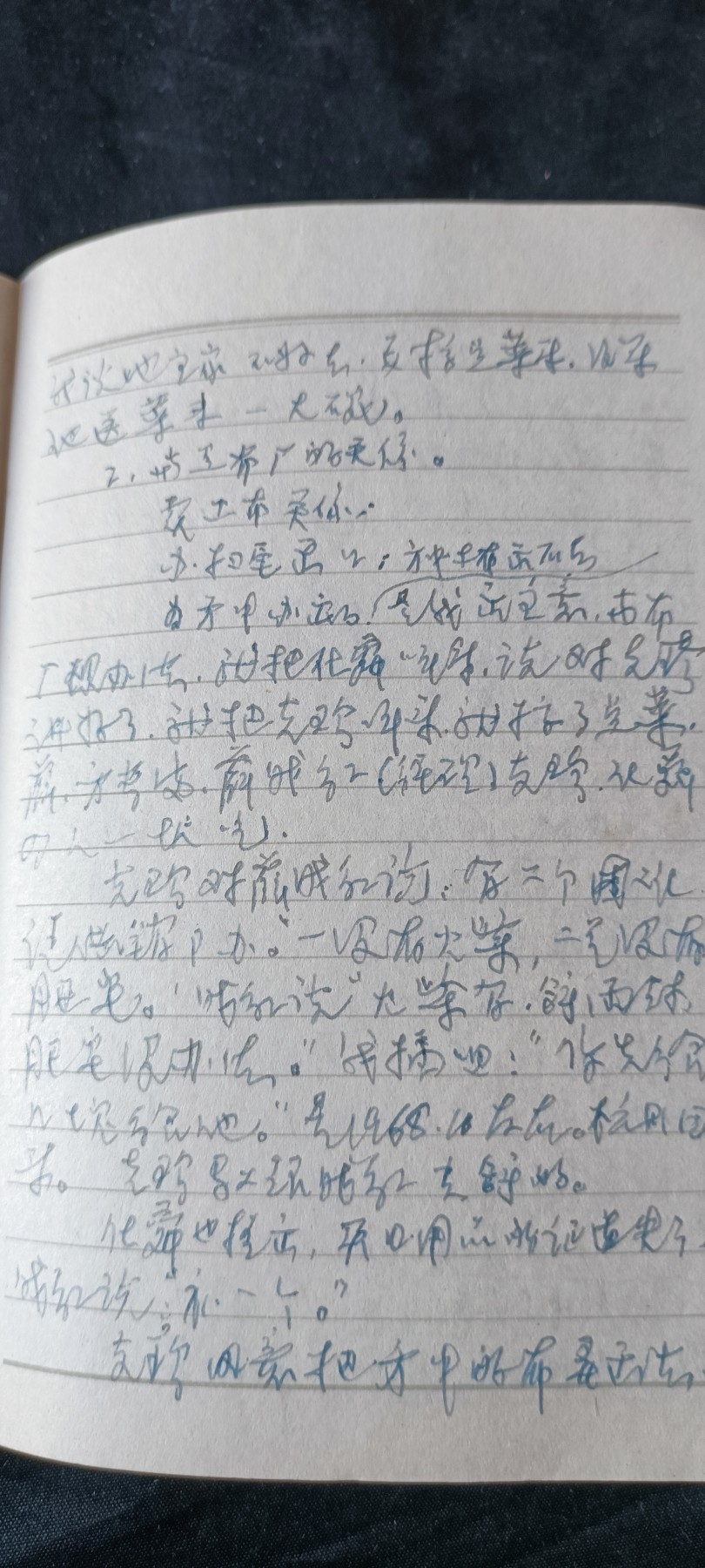 天字一号拍卖！ 林提日记本，写满！