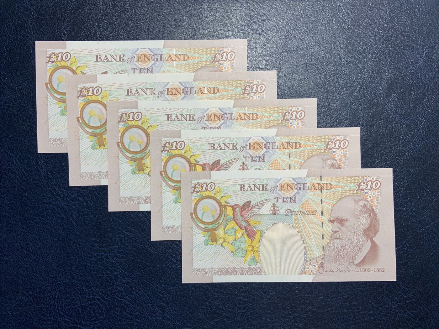 收藏联盟Quantum Auction 第298期拍卖  英国2004年版10镑5张 品相UNC 角尖微瑕 达尔文