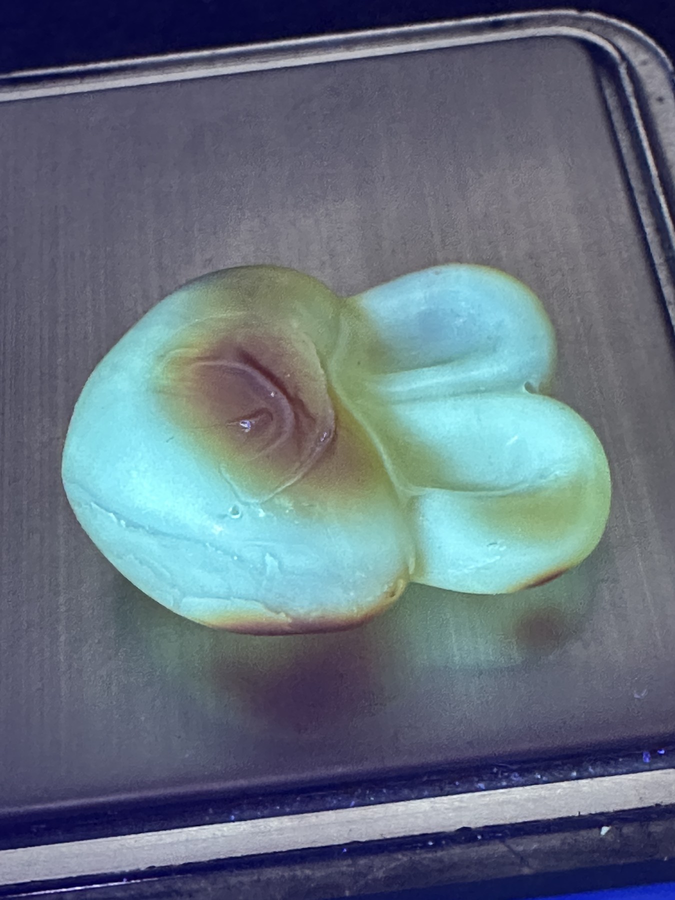 精美天然乌克兰蜜蜡原皮原石雕刻心形兔吊坠一个，