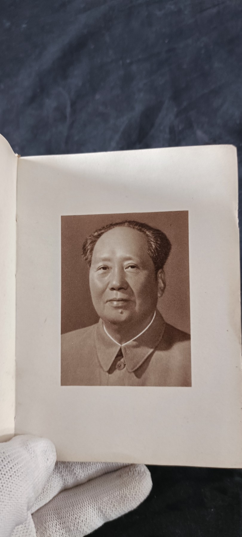 天字一号拍卖！ 学习毛爷爷哲学思想