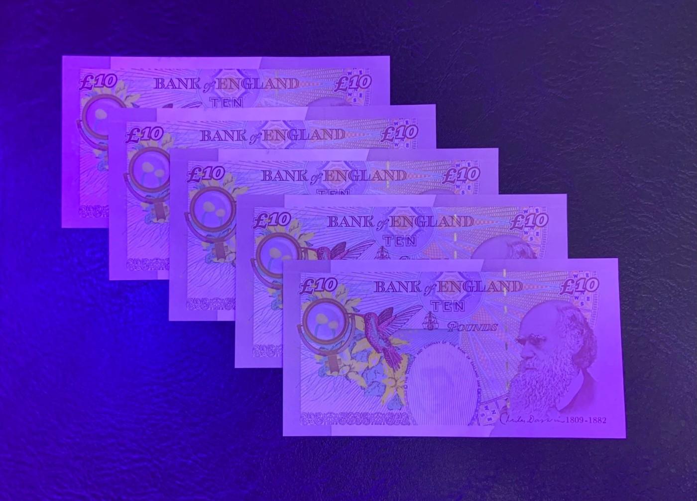 收藏联盟Quantum Auction 第298期拍卖  英国2004年版10镑5张 品相UNC 角尖微瑕 达尔文