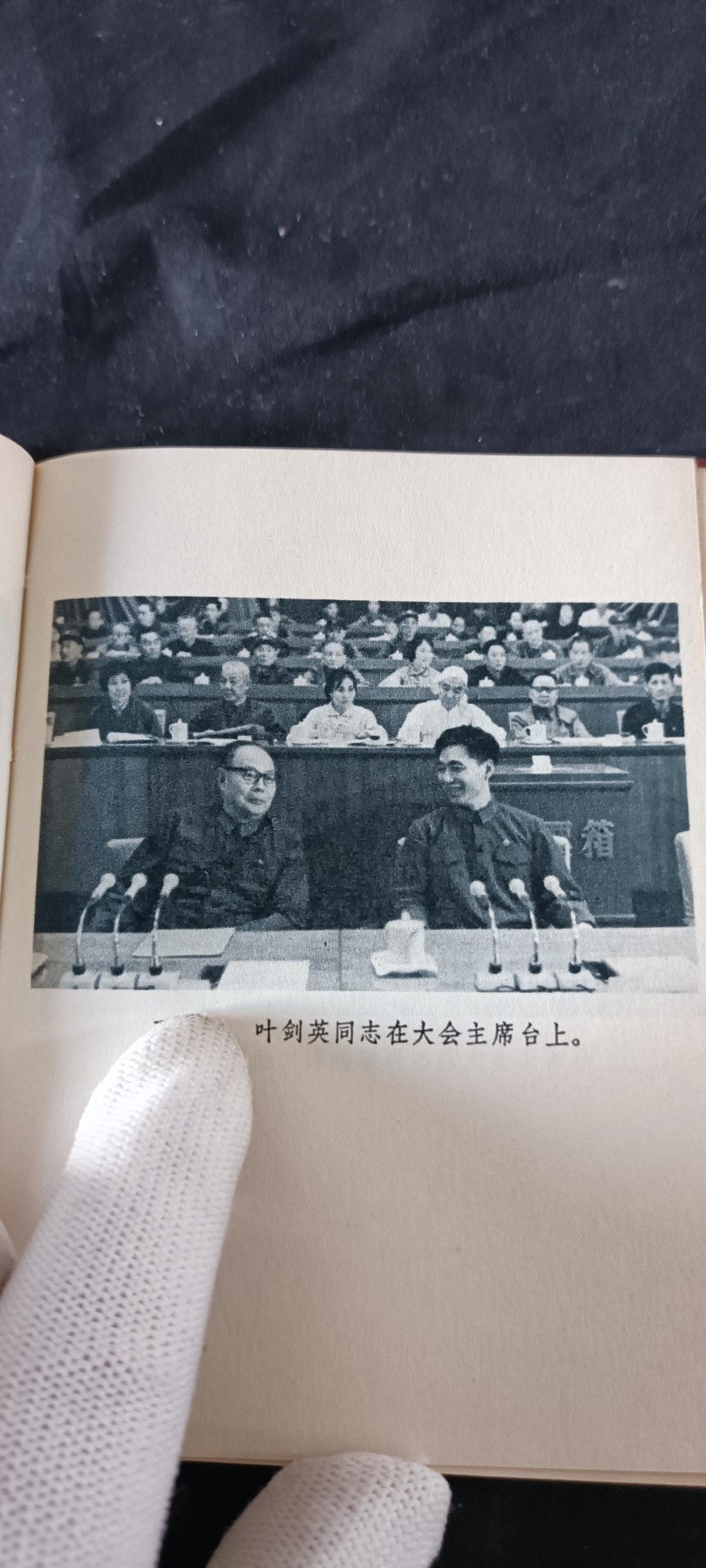 天字一号拍卖！ 小王高光时刻，好品十大