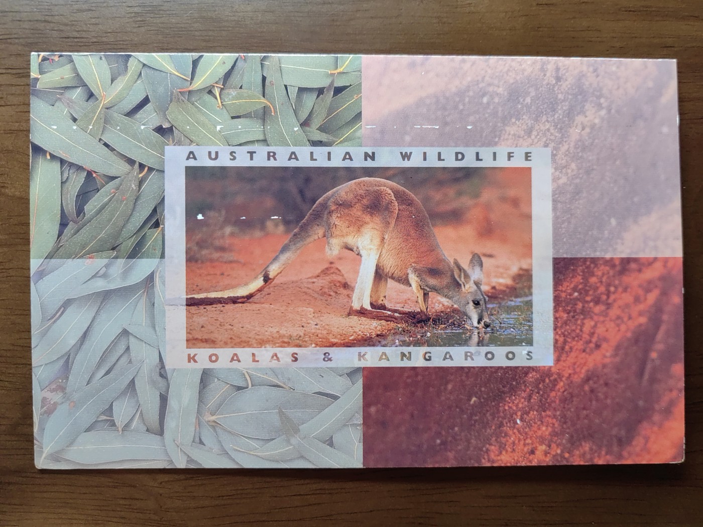 外国邮和小本票精品专场（秒杀和拍卖）第①⑥场 澳大利亚1994年 澳大利亚野生动物一套 全新邮票无邮戳（小本票非邮折）