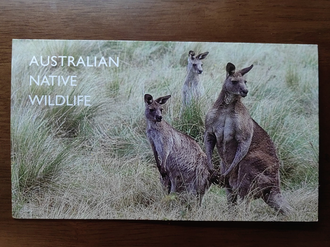 外国邮和小本票精品专场（秒杀和拍卖）第①⑥场 澳大利亚1993年 野生动物一套 （全新邮票无邮戳，小本票非邮折）