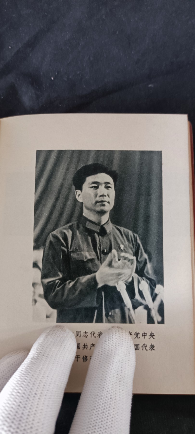 天字一号拍卖！ 小王同款毛头