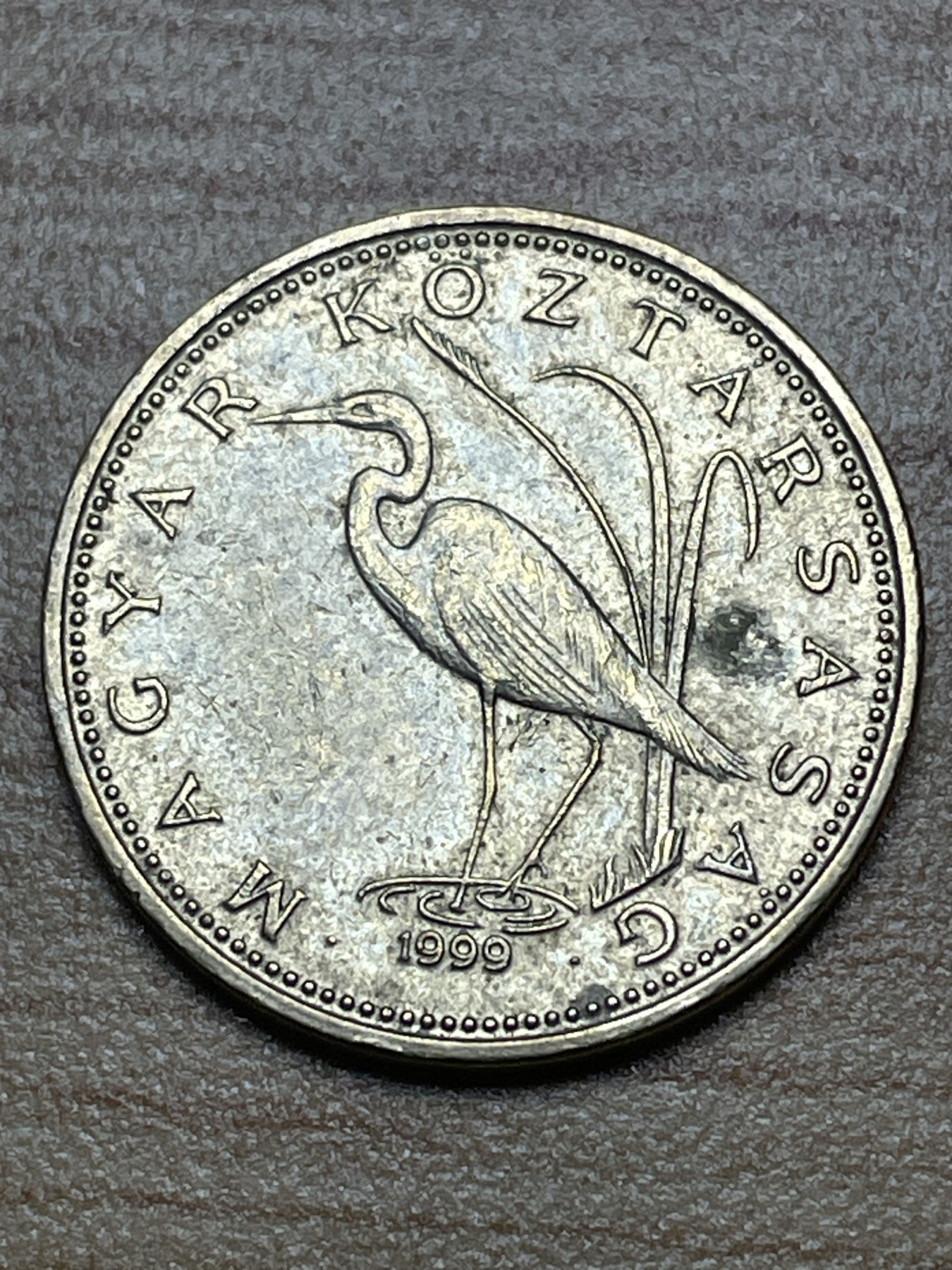 神仙姐姐散币专场第二期（无佣金，预留一期） 1999年匈牙利动物币5福林