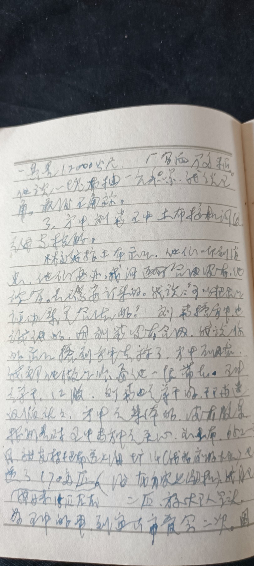 天字一号拍卖！ 林提日记本，写满！