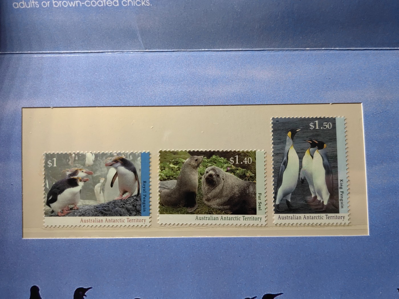 外国邮和小本票精品专场（秒杀和拍卖）第①⑥场 澳属南极1993 企鹅海狗 海洋动物一套 （全新邮票无邮戳，小本票非邮折）