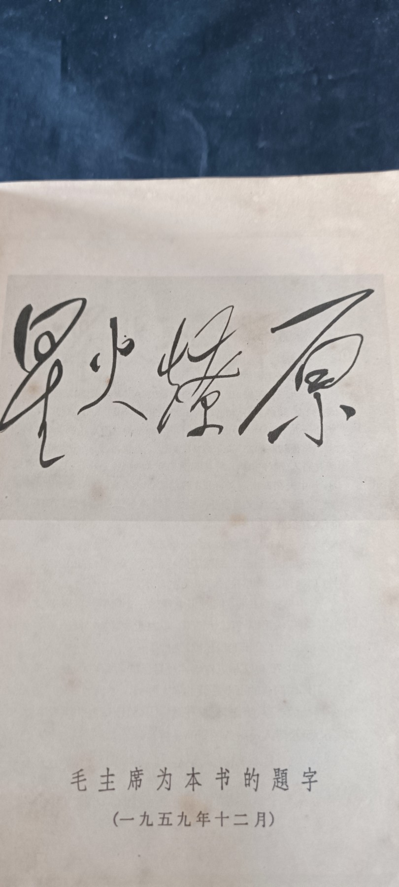 天字一号拍卖！ 星星之火燎原