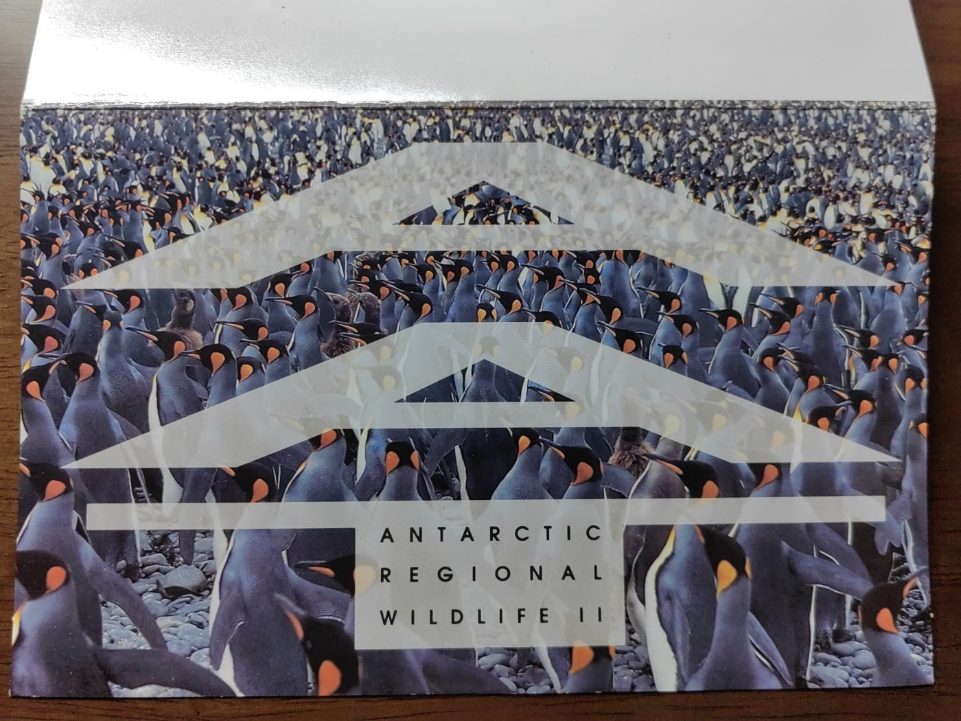 外国邮和小本票精品专场（秒杀和拍卖）第①⑥场 澳属南极1993 企鹅海狗 海洋动物一套 （全新邮票无邮戳，小本票非邮折）