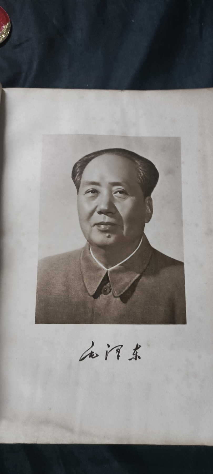 天字一号拍卖！ 大字版毛5