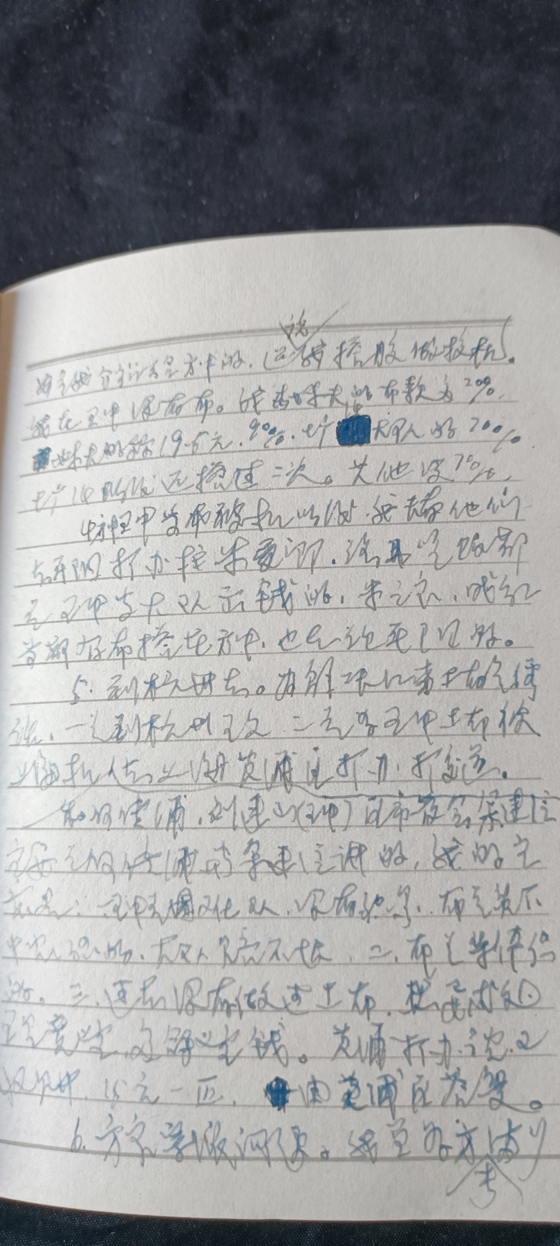 天字一号拍卖！ 林提日记本，写满！