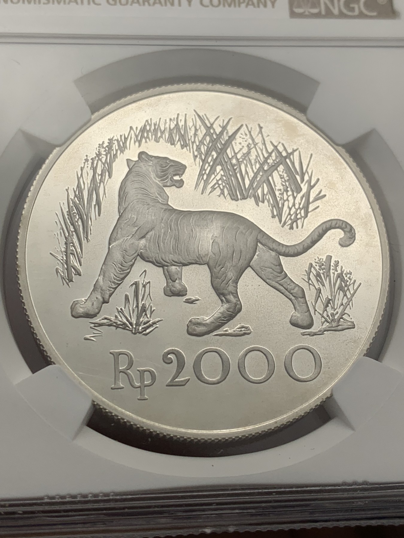 《竞宝斋》第208场-周日，周一 2场 (全场包邮) NGC-PF66UC 印度尼西亚1974年猛虎精制银币 热门品种