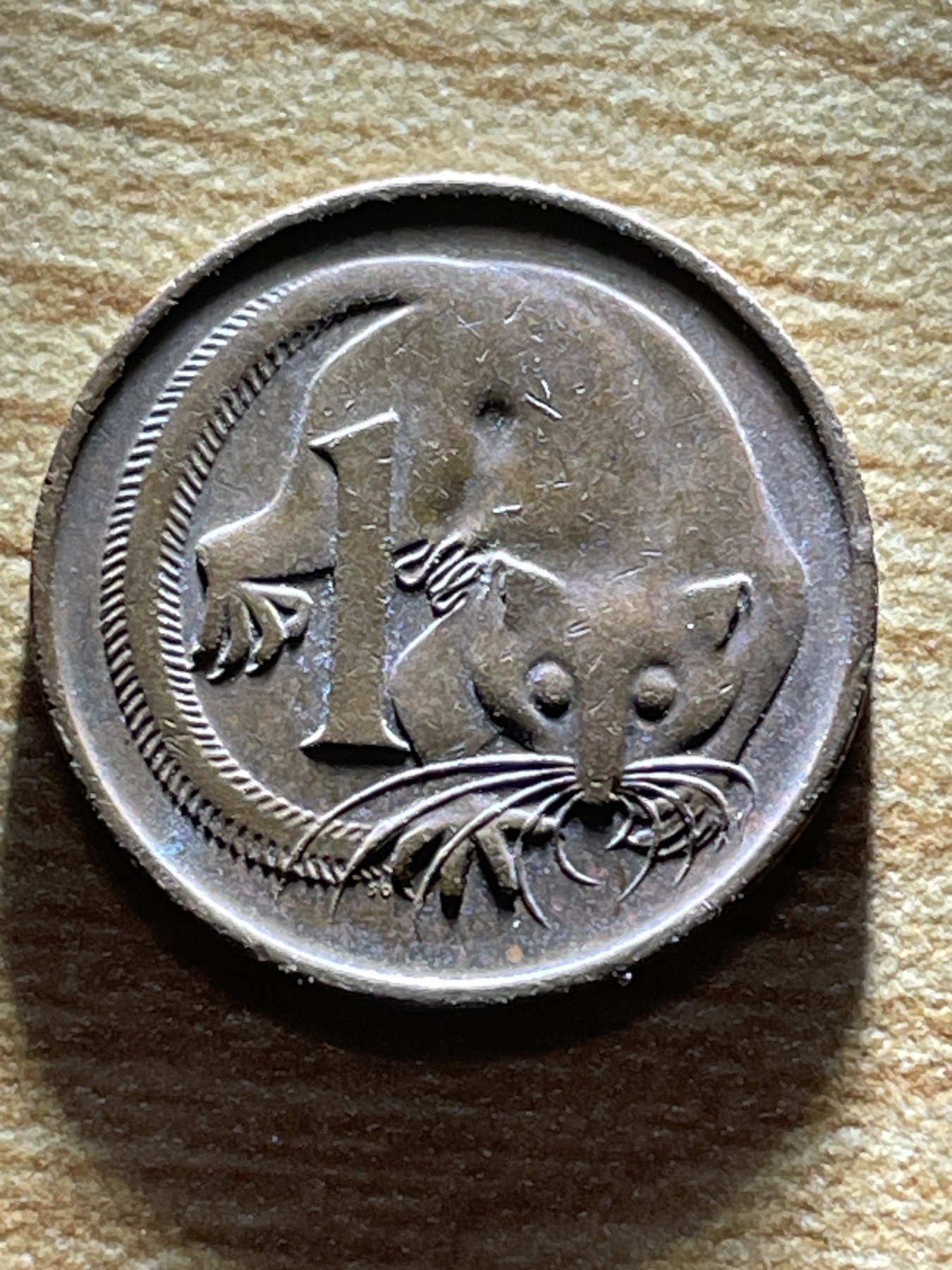 神仙姐姐散币专场第三期（无佣金，预留一期） 1981年澳大利亚1分