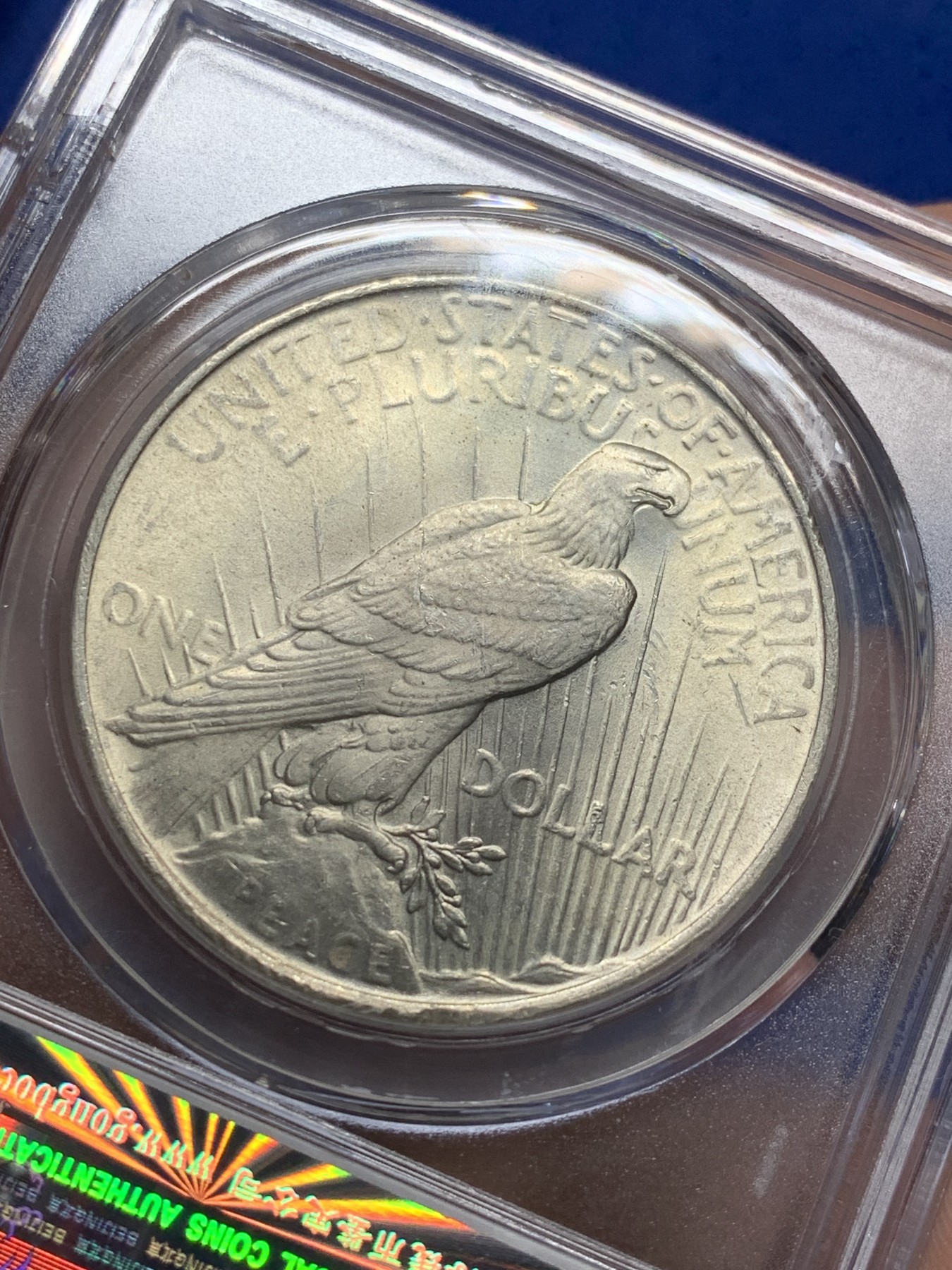 《竞宝斋》第208场-周日，周一 2场 (全场包邮) 公博MS64+ 美国1923年和平银币 粉光带转光 状态好 可以砸了送N盒