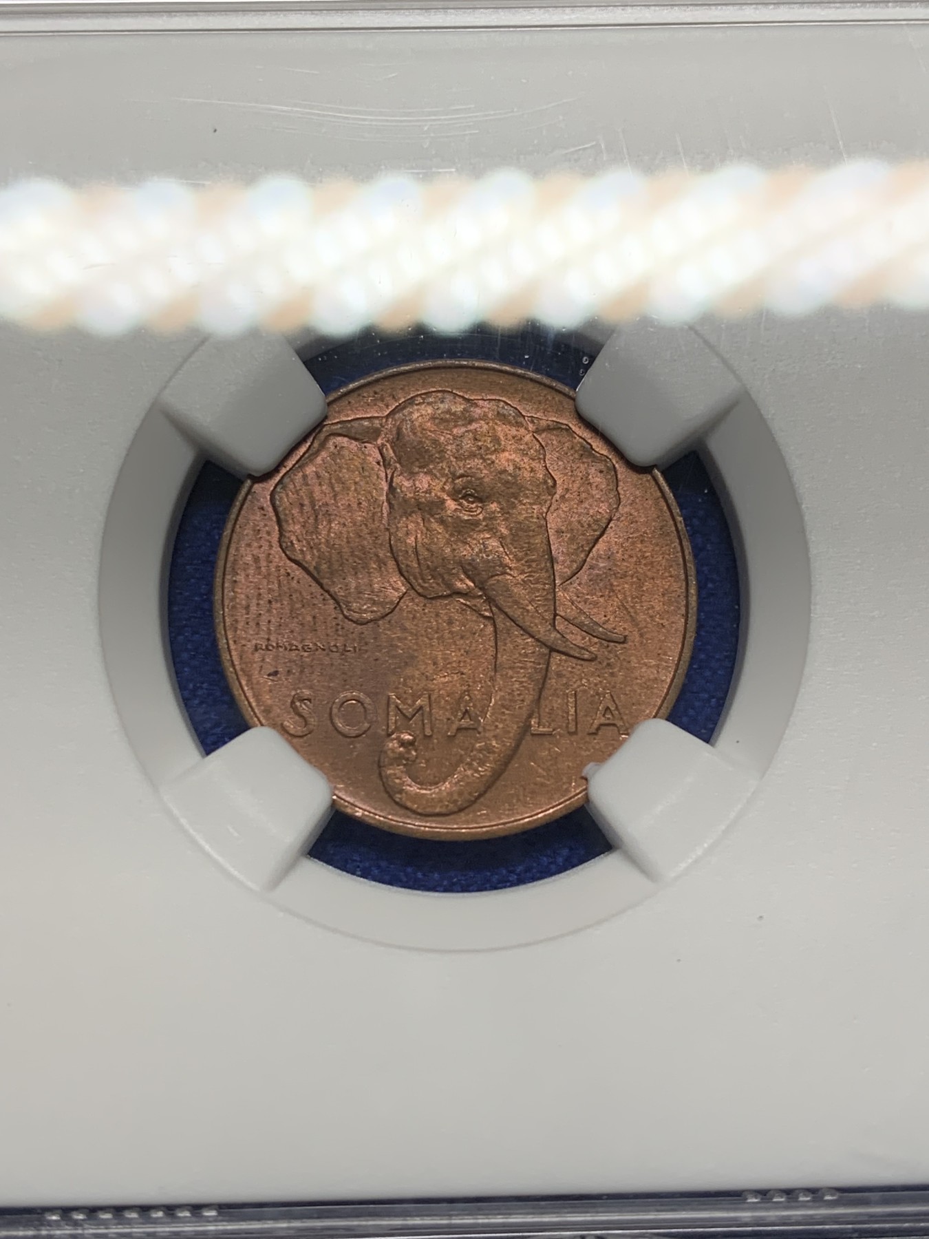 《竞宝斋》第208场-周日，周一 2场 (全场包邮) NGC MS63BN 意属索马里 1950年 1分铜币 大象图案 原光好品