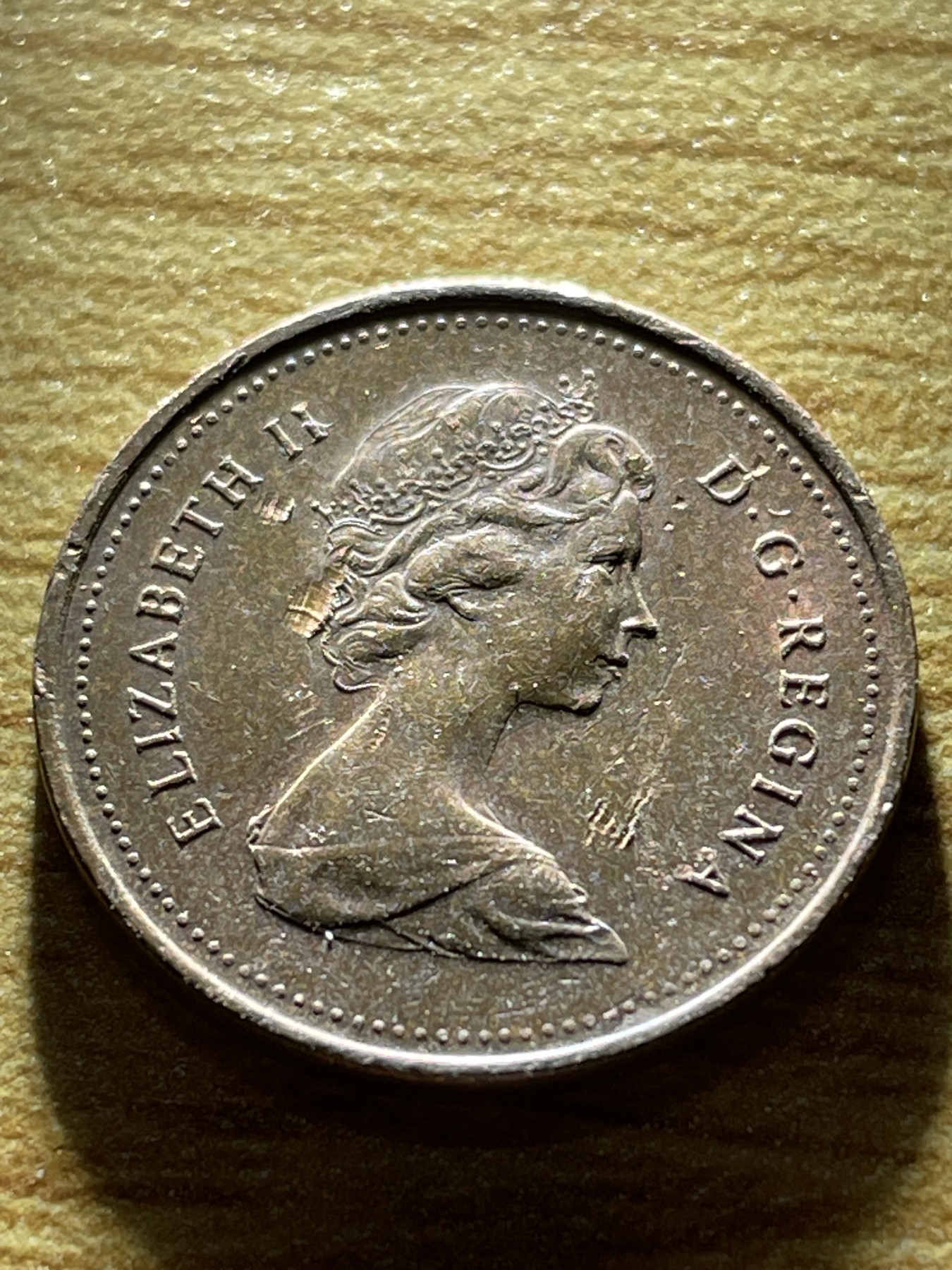 神仙姐姐散币专场第三期（无佣金，预留一期） 1979年加拿大枫叶1分