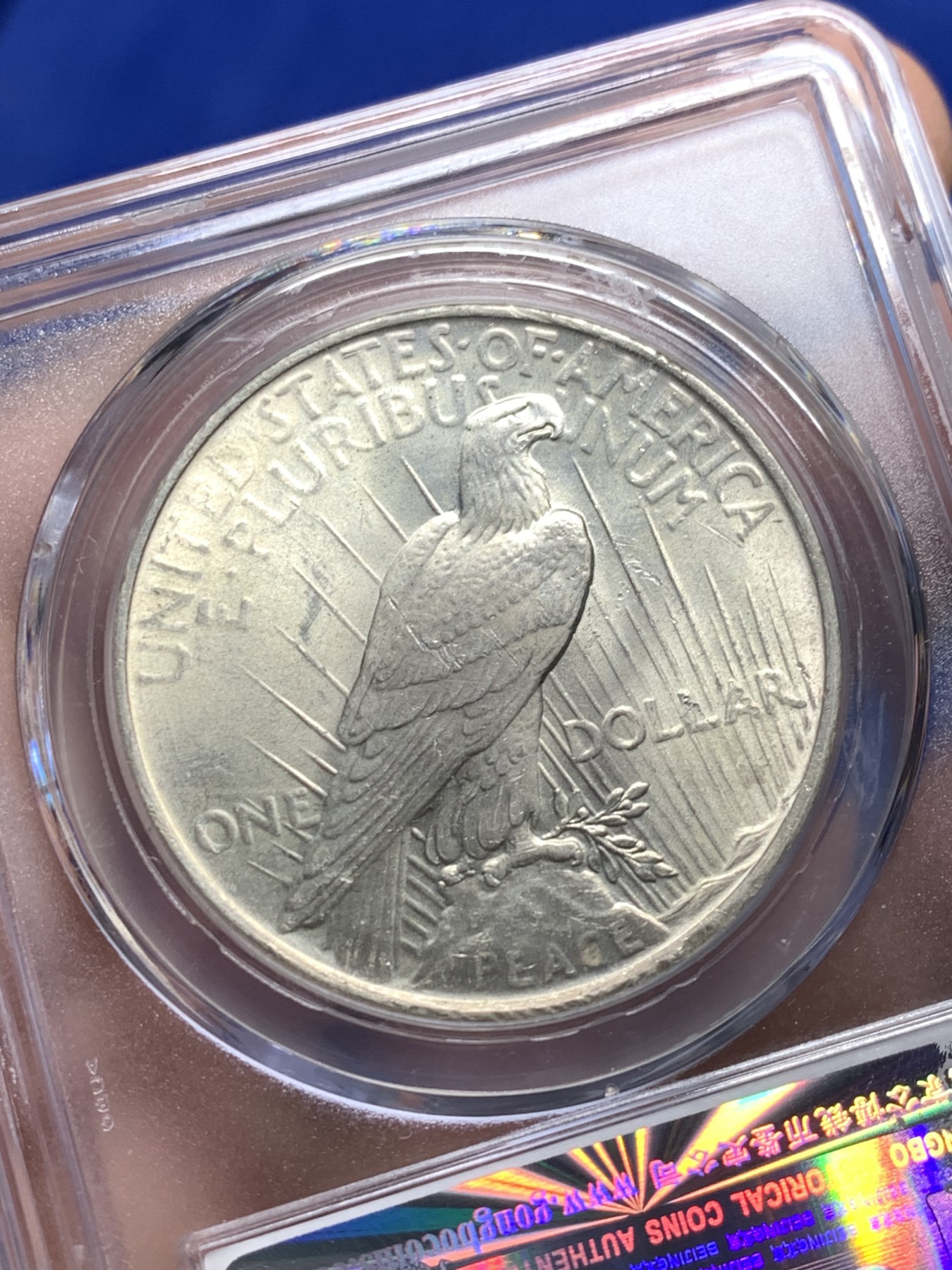 《竞宝斋》第208场-周日，周一 2场 (全场包邮) 公博MS64+ 美国1923年和平银币 粉光带转光 状态好 可以砸了送N盒