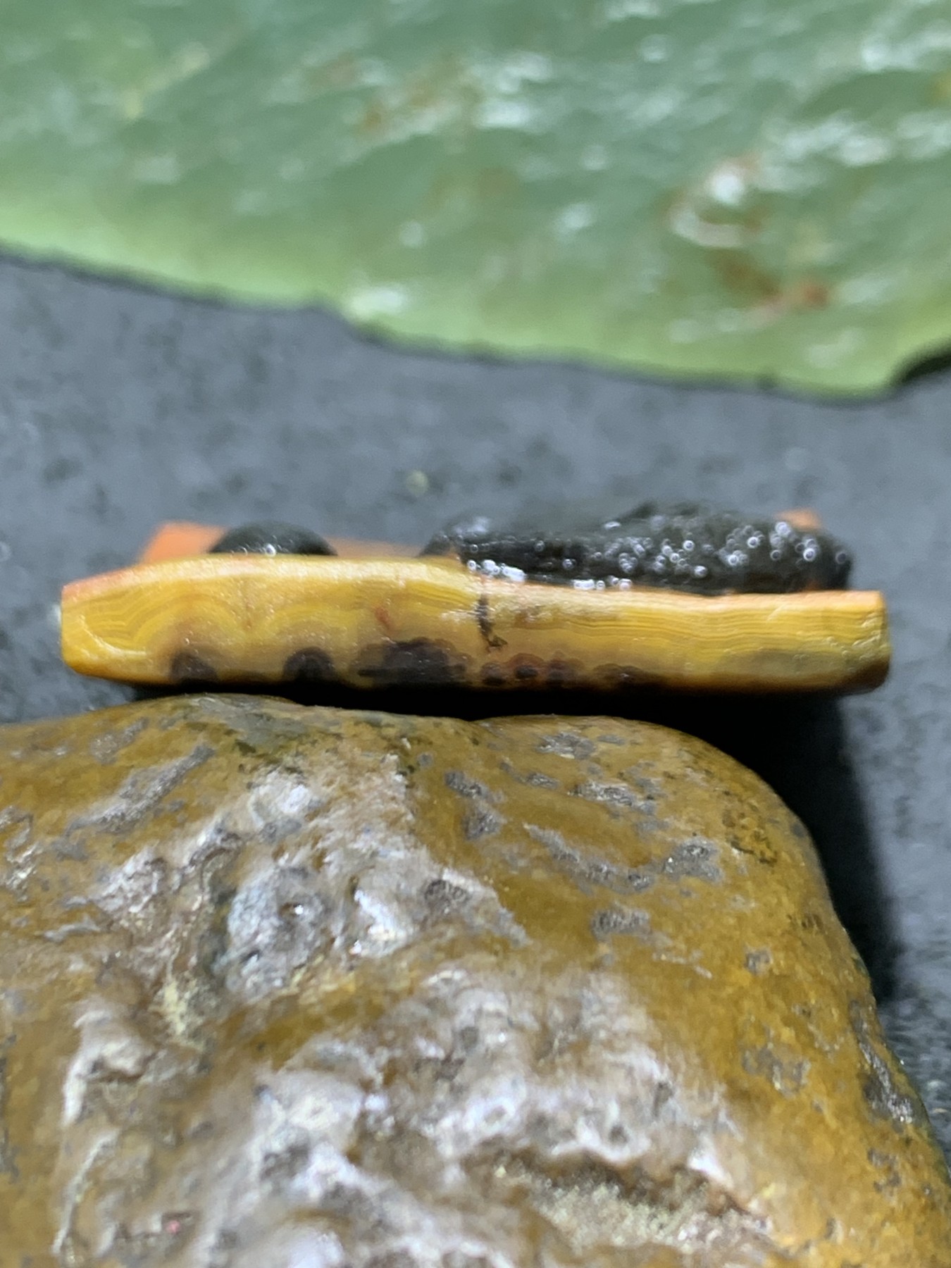 精美亚光原皮战国红玛瑙手工俏色巧雕鲤鱼戏珠牌子一个