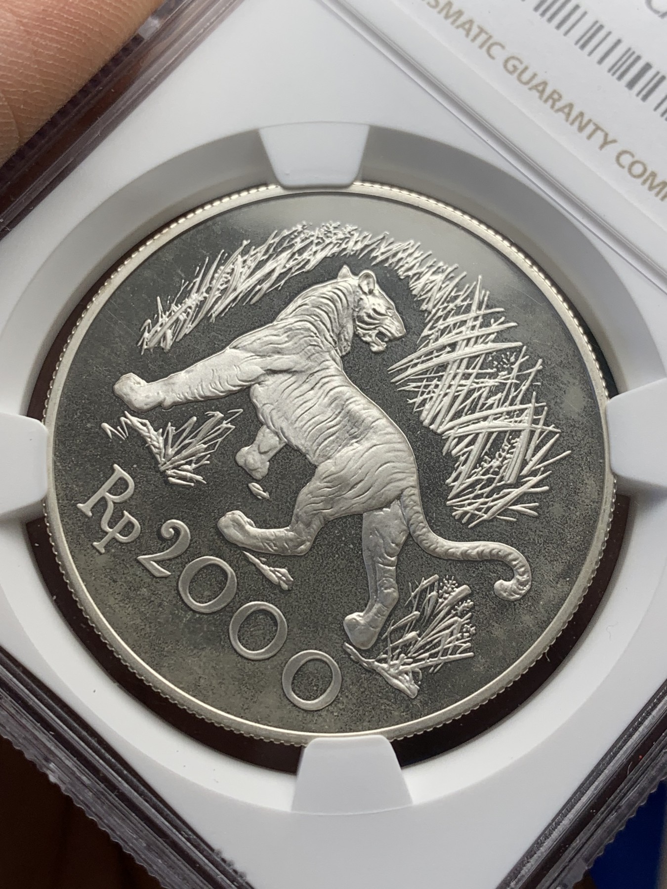 《竞宝斋》第208场-周日，周一 2场 (全场包邮) NGC-PF66UC 印度尼西亚1974年猛虎精制银币 热门品种