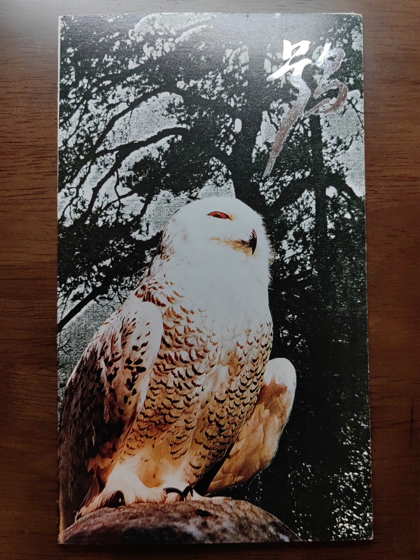 中国：纪念邮折专场（秒杀）第①⑦场 1995-5 鸮