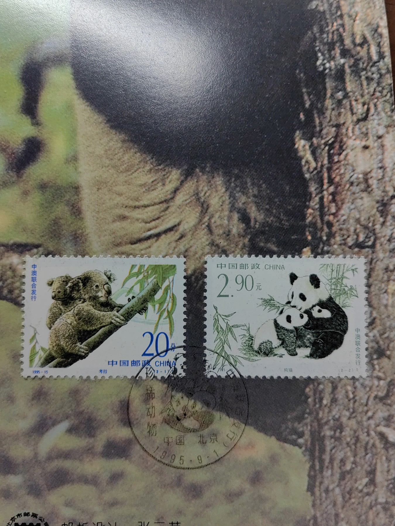 中国：纪念邮折专场（秒杀）第①⑦场 1995-15 珍稀动物（中澳联合发行）