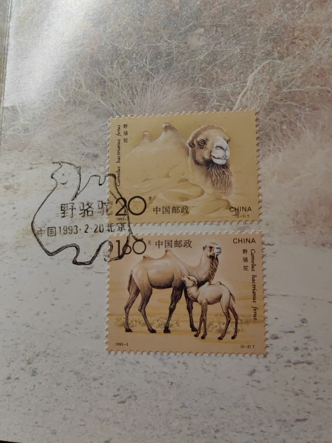中国：纪念邮折专场（秒杀）第①⑦场 1993-3 野骆驼